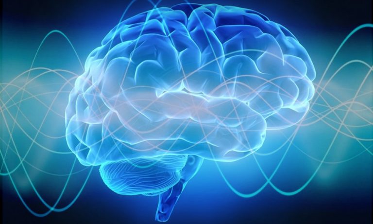 eHealth Ventures welcomes BrainWatch, a Digital Pupillometry Diagnostic Solution, into the eHV Portfolio